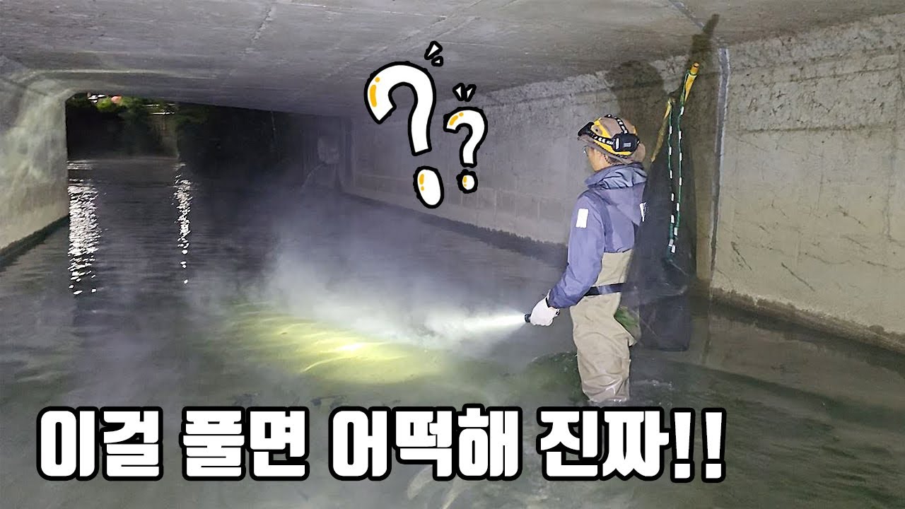 이건 솔직히 선넘은거 아닌가요? 구피천에 이거 풀면 사고납니다 진짜...