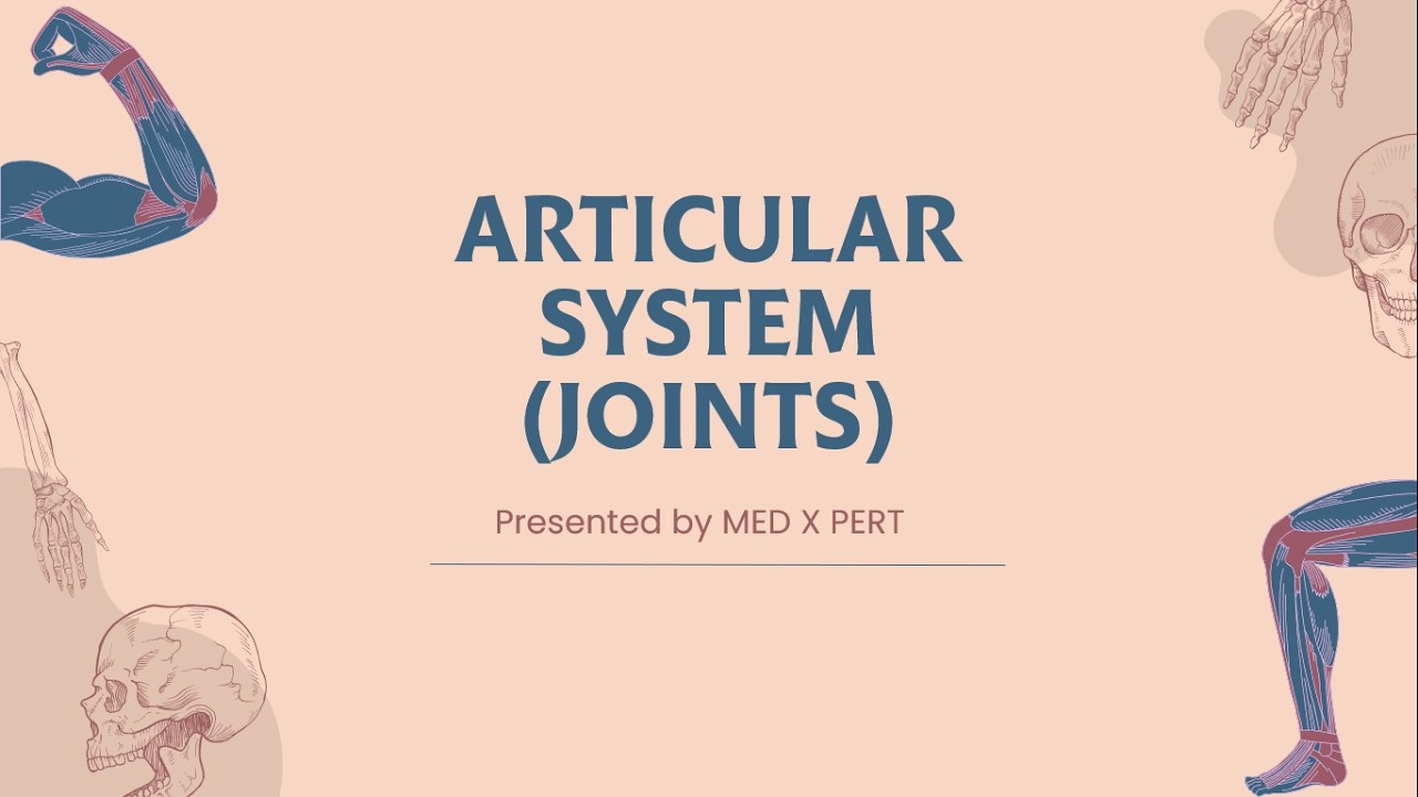 Basis Of Human Anatomy | Articular  System (JOINTS)