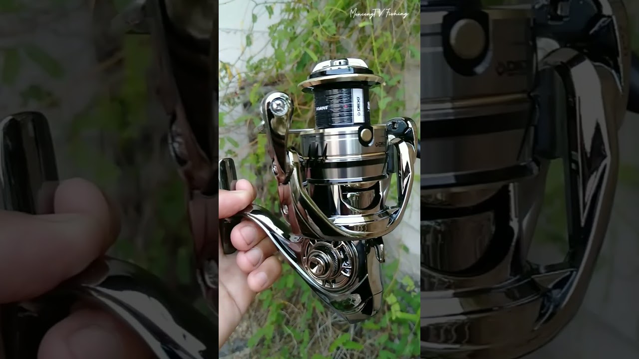 Reel Daido Battle Prix 2000HS #daidofishingteam