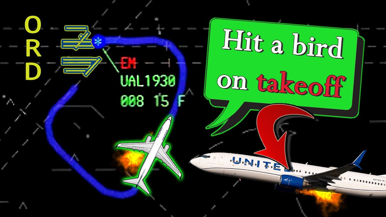 United B739 | BIRD STRIKE + ENGINE FLAMEOUT | Emergency return to O'Hare