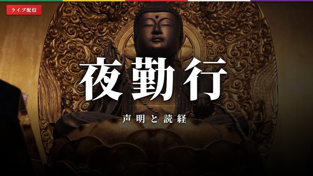 【夜勤行・生配信】 夜のお祈り｜四国八十八ヶ所 22番札所 平等寺 2026/03/15 20:00