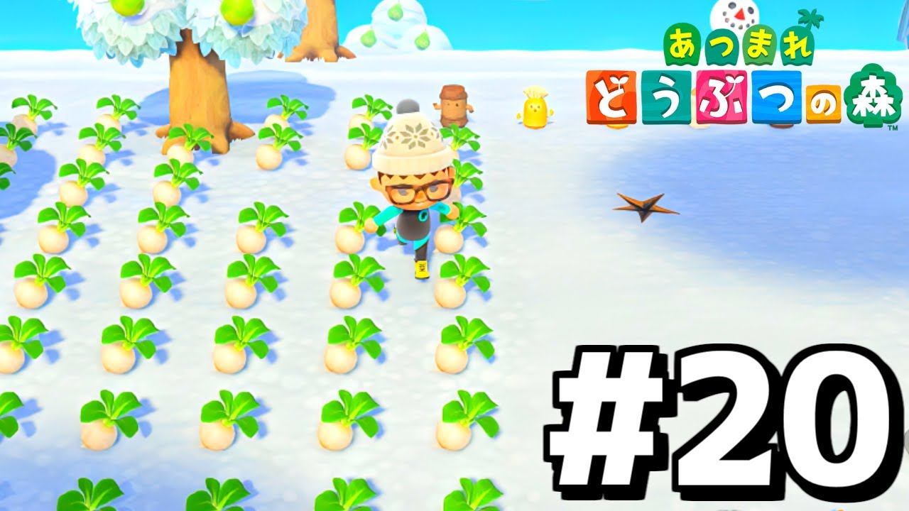 【あつ森】運命の"日曜日"...カブを買ってお金持ちになるぞ！！【あつまれどうぶつの森】#20
