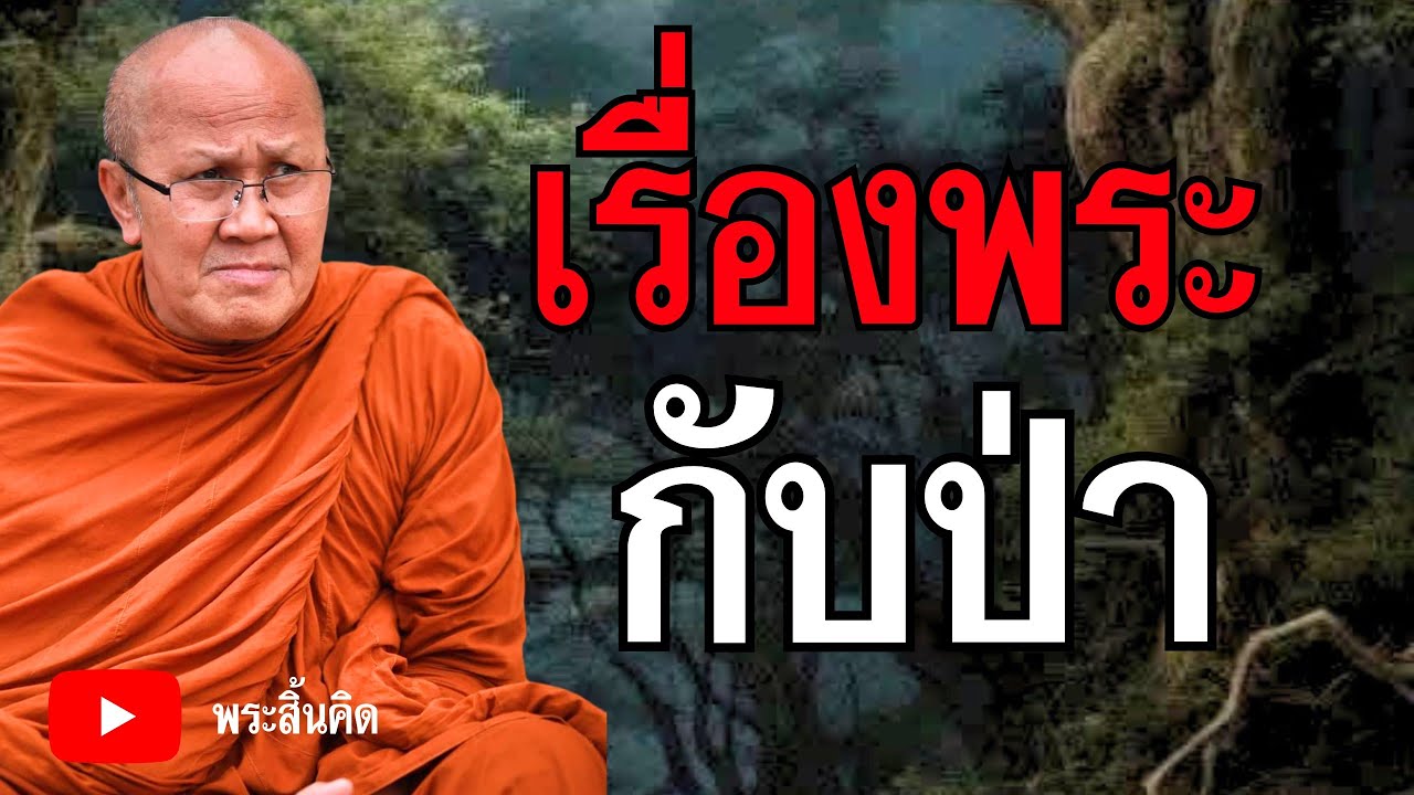 เรื่องพระกับป่า#ธรรมะ #พระสิ้นคิด #ธรรมะก่อนนอน #อานาปานสติ #สมาธิ 