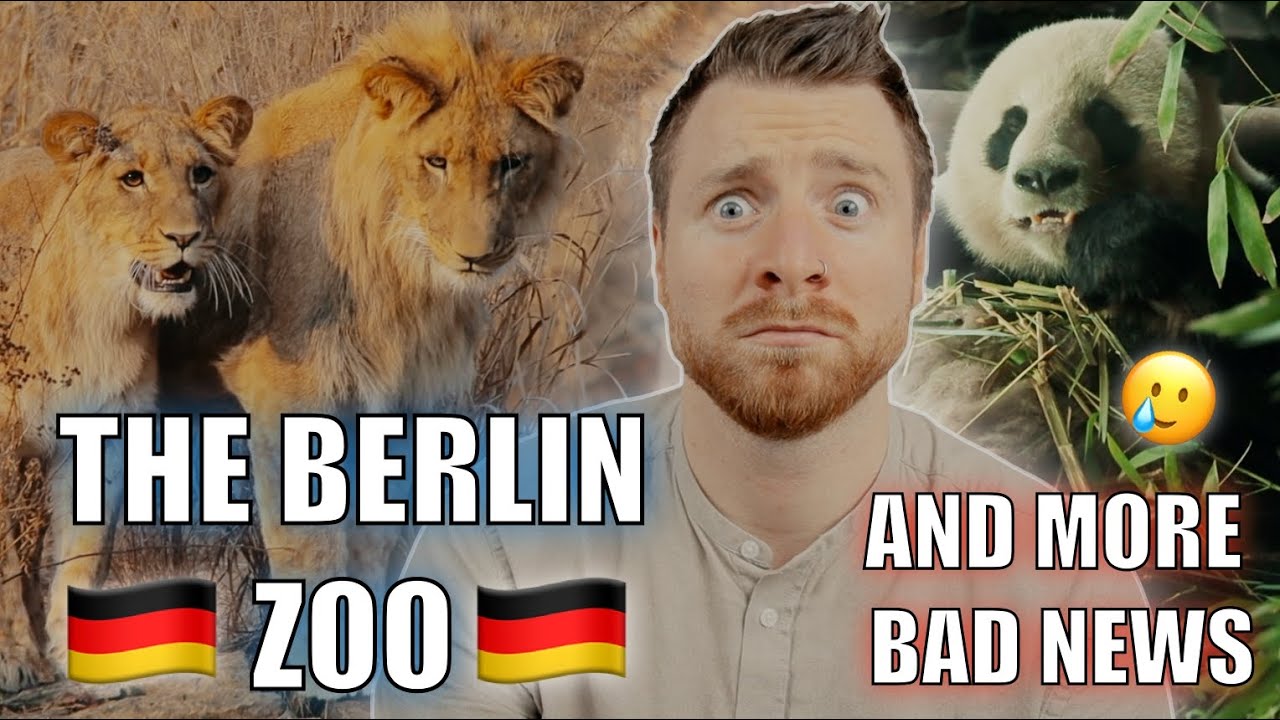 The BERLIN ZOO and MORE BAD NEWS 🇩🇪😱