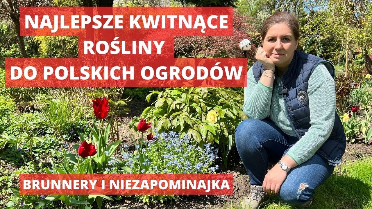 Kwitnące wiosną rośliny.  #Brunnery  #Niezapominajki