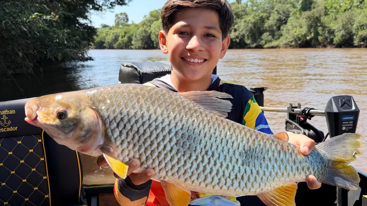 Pescaria Que Lugar é Esse😱? Só Sai PIAPARA GIGANTE! Linha Cantando Sem Parar!🔥