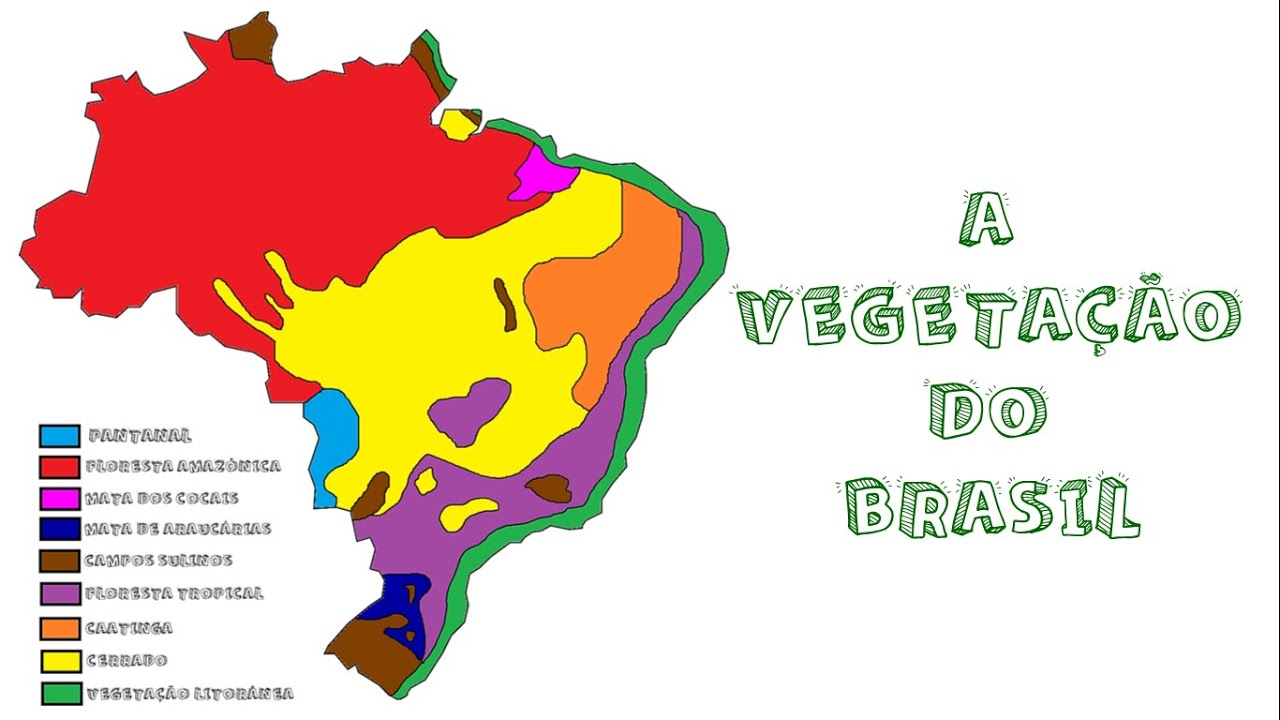 A VEGETA&Ccedil;&Atilde;O DO BRASIL