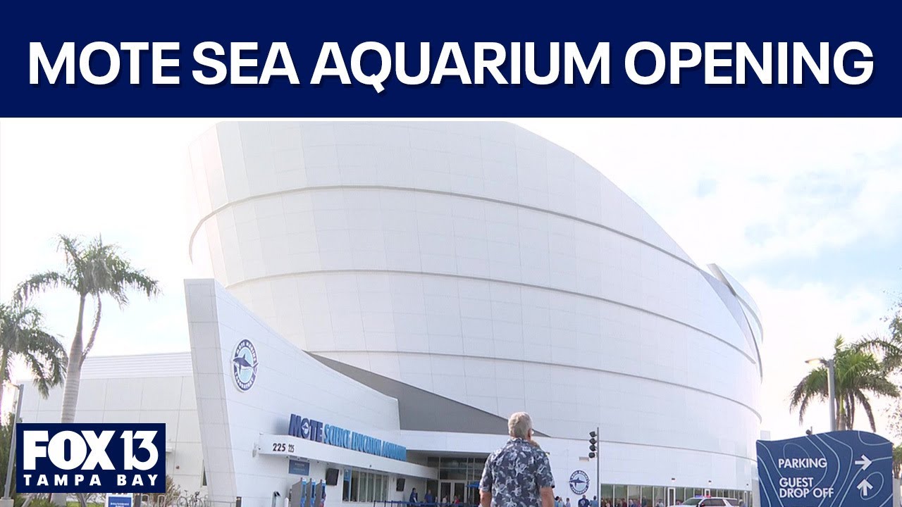 Inside Mote Marine's new sea campus