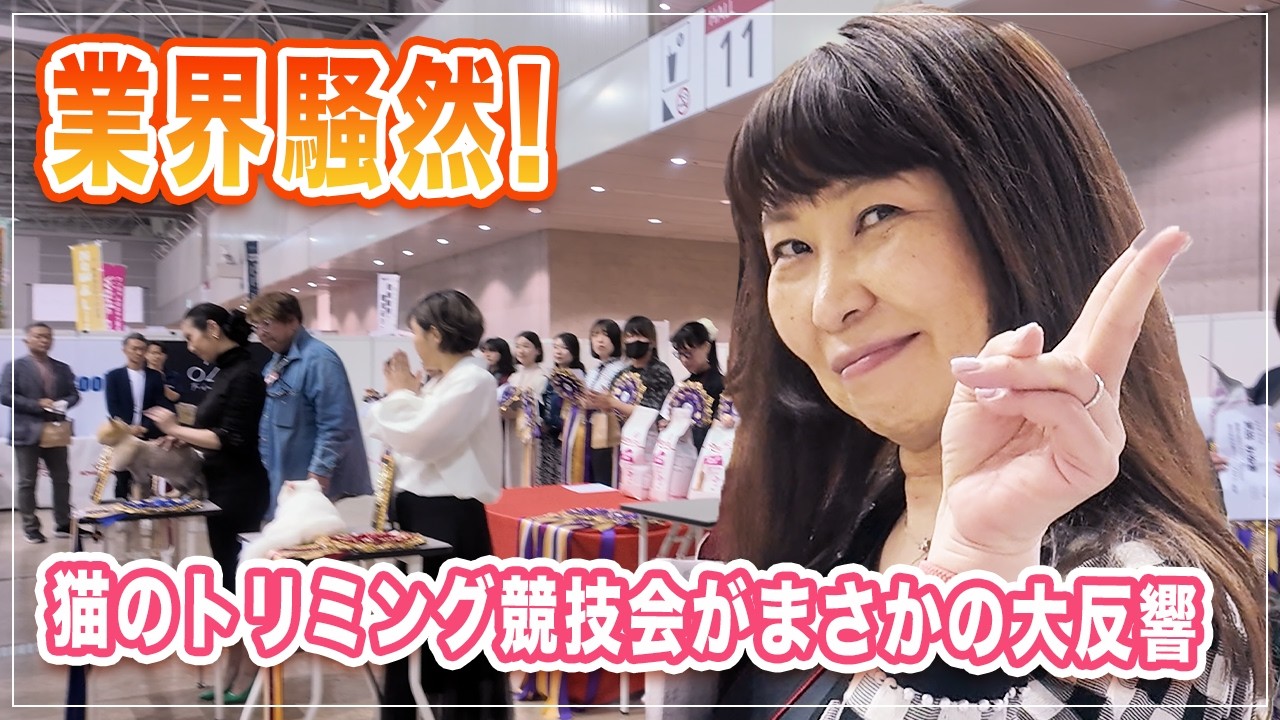 猫トリミングの頂点が決定！プロ職人の本気、日本初の猫トリミング大会レポート｜優勝トリマーの技術が神業、業界騒然！猫のトリミング競技会がまさかの大反響【ペット博2025】幕張メッセ