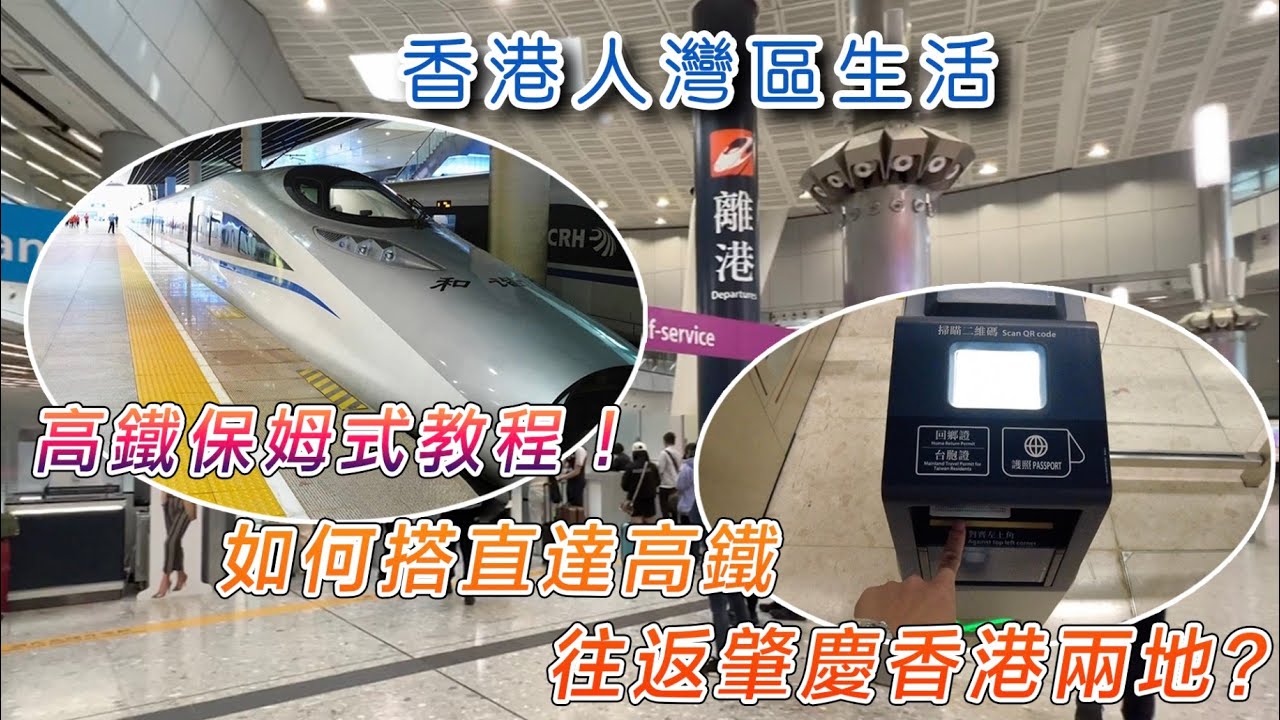 【香港人灣區生活】高鐵保姆式教程！如何搭直達高鐵往返肇慶香港兩地？