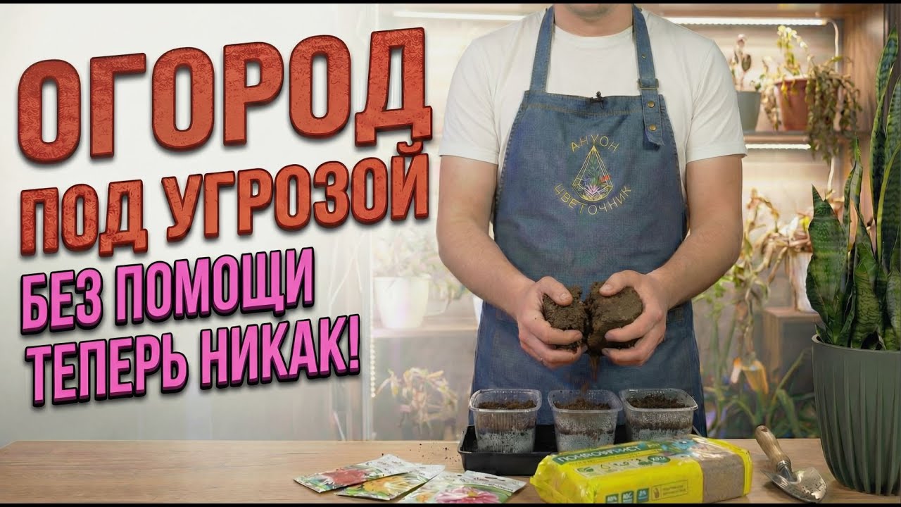 Огород у мамы теперь под угрозой: этим культурам всё равно на операции и больницы, сеять их уже надо