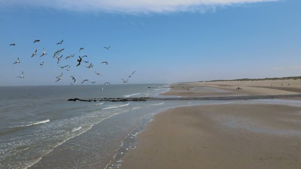 #dronedji - Plage de Bredene - Belgique