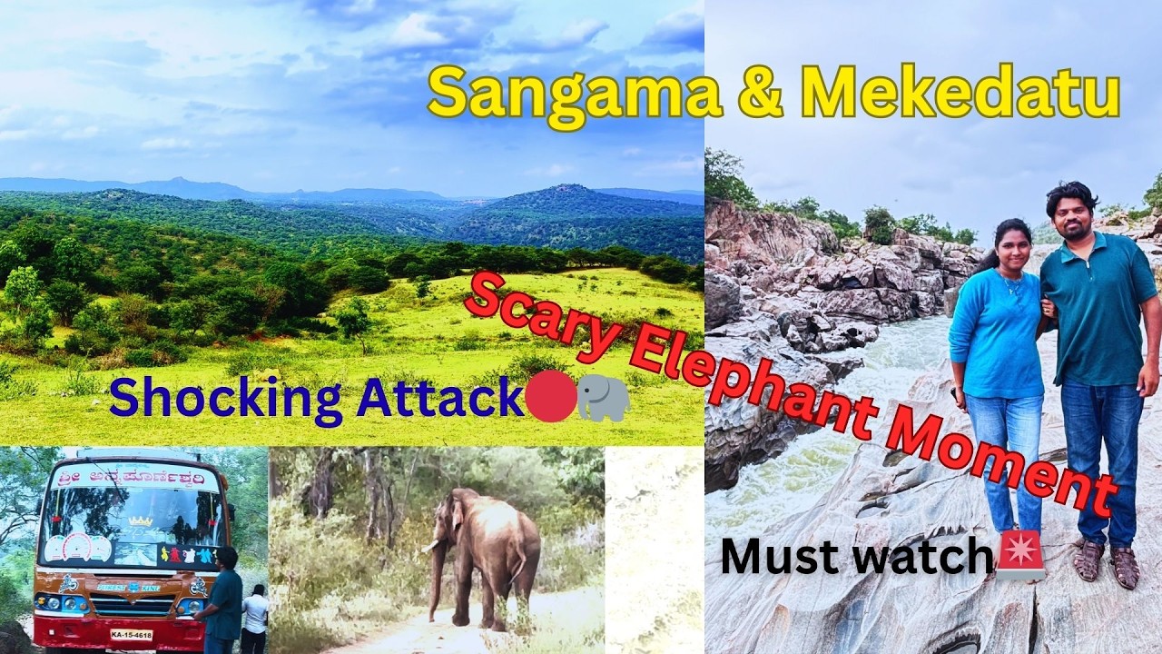 Complete Travel Guide: Mekedatu & Sangama | One Day Trip from Bangalore #mekedatu #sangama