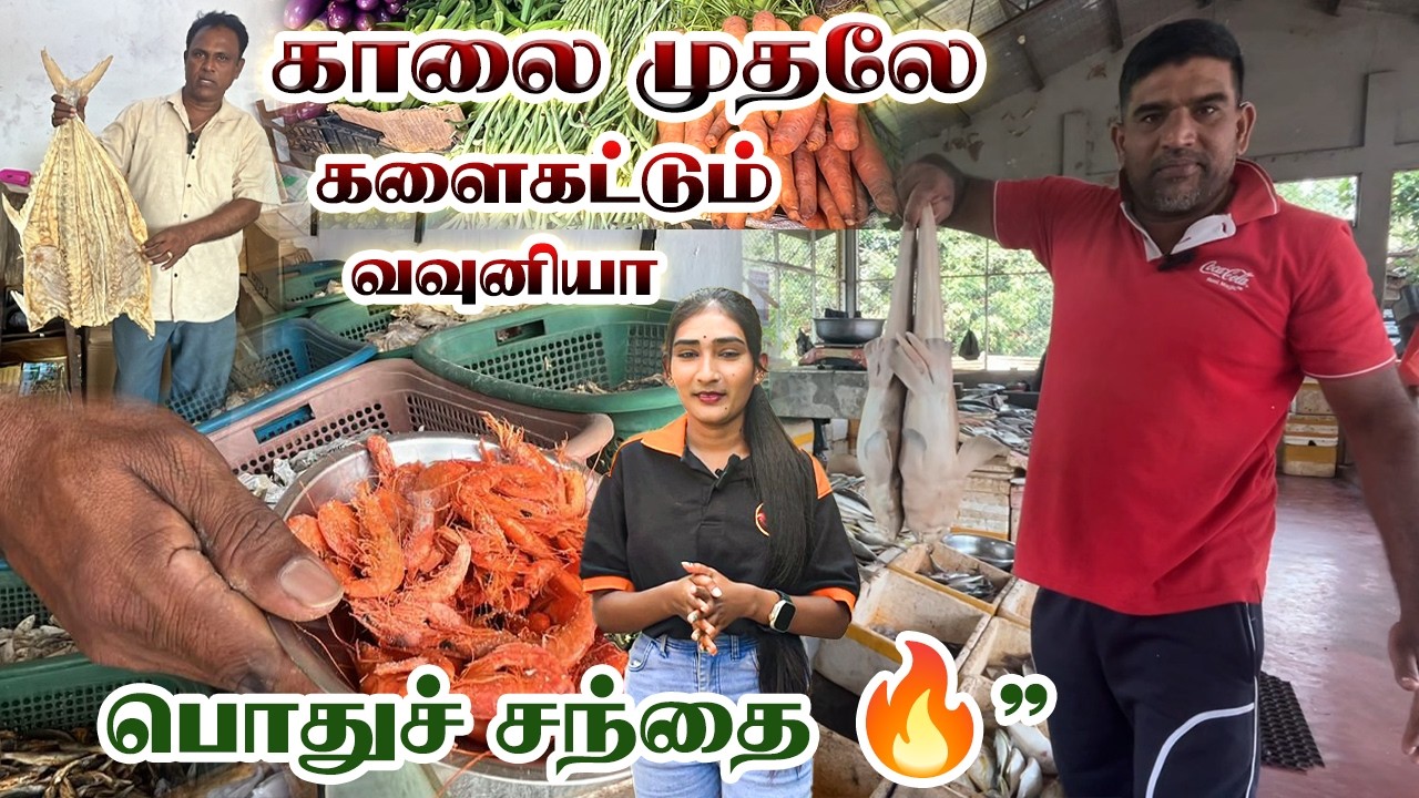 வவுனியா மார்க்கெட் ஸ்பெஷல்! இவ்வளவு பெரிய சந்தையா.! #market #vavuniyanews #topn #peoples #live #food