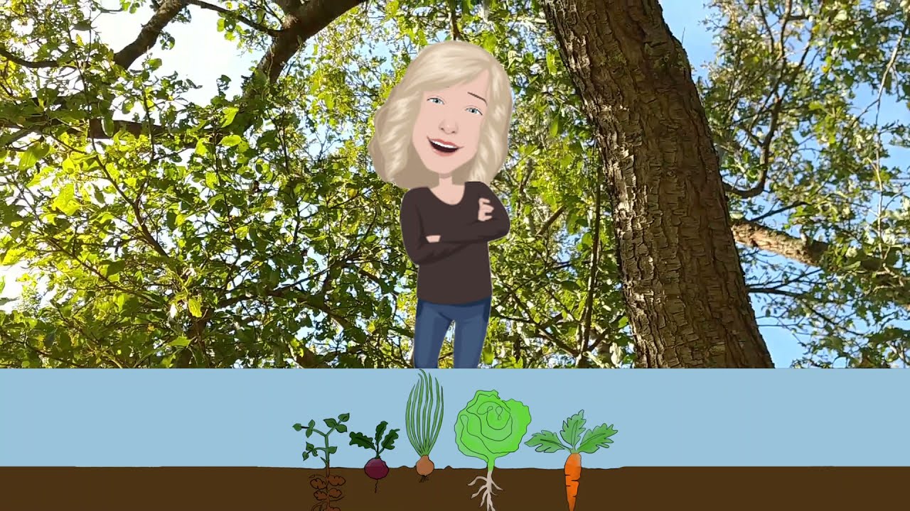 #81-Mijn moestuin, natte weken
