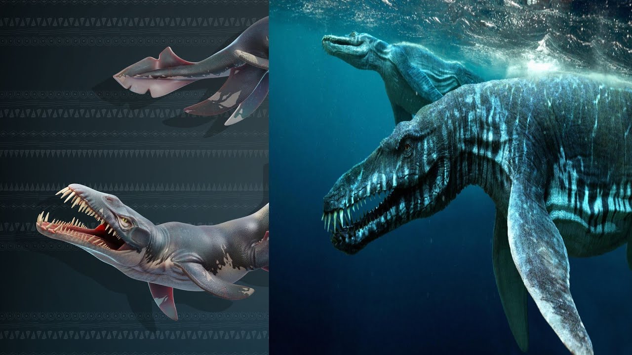 HUNGRY SHARK PRIMAL IN REAL LIFE!!!