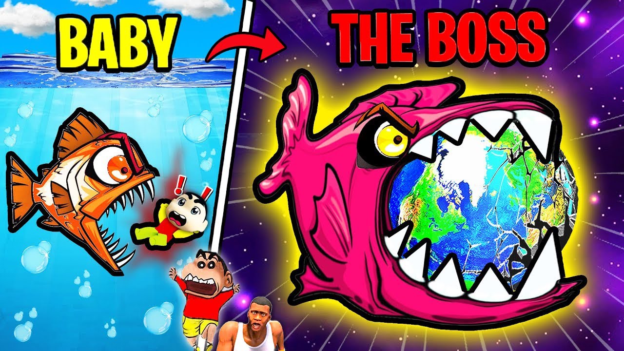 Upgrading BABY SHARK into LAVA MEGALODON in Super Fish Evolution ROBLOX with SHINCHAN and CHOP