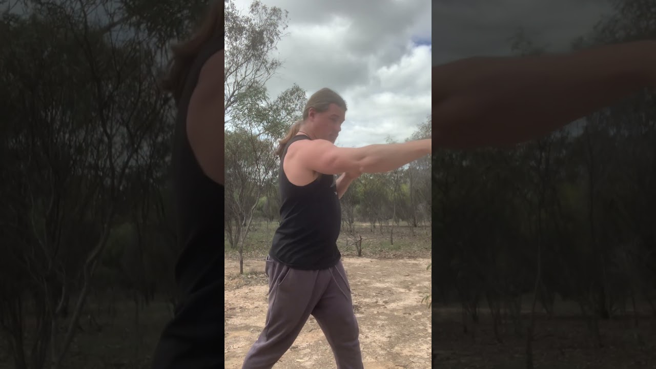 Roo Fist 🦘🤜 various techniques & mechanics of striking with talk 🤜