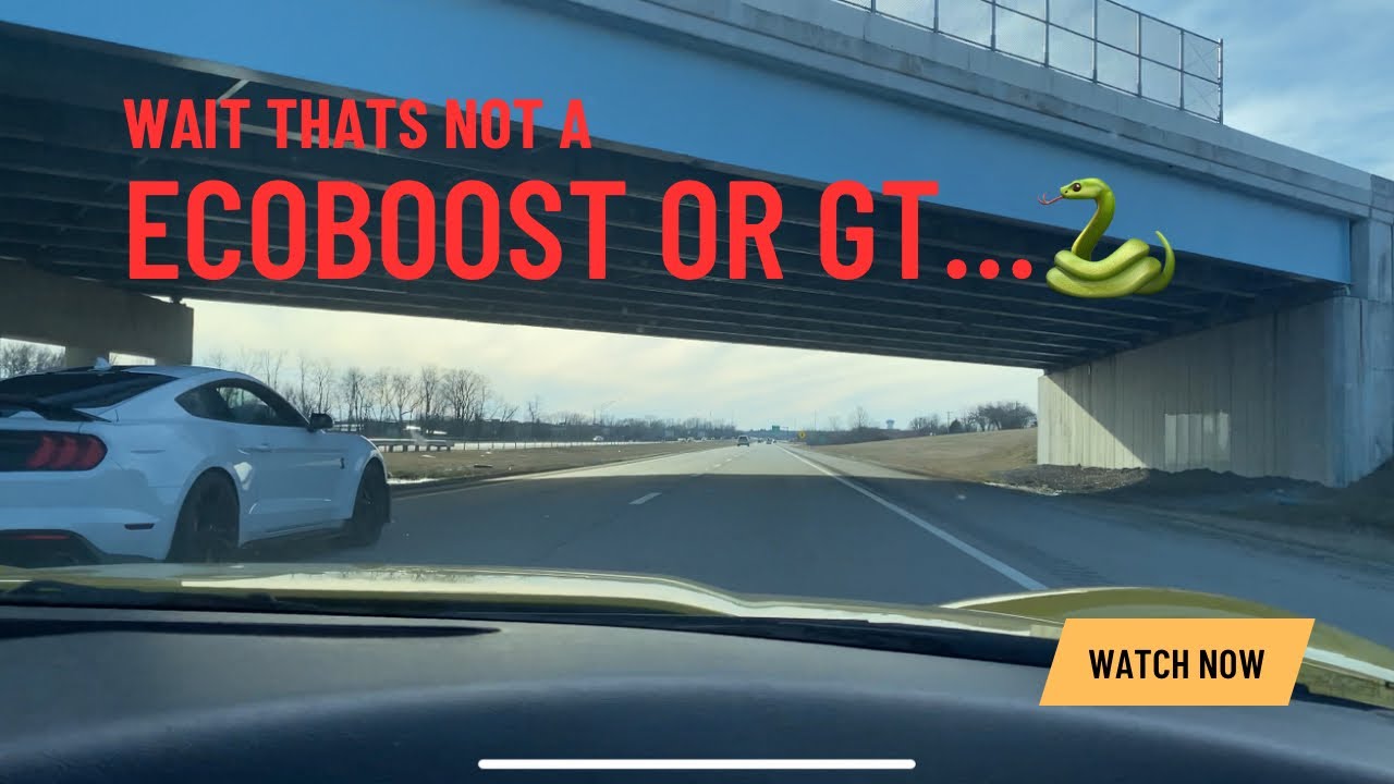 C6 Corvette Pulls Anyone?
