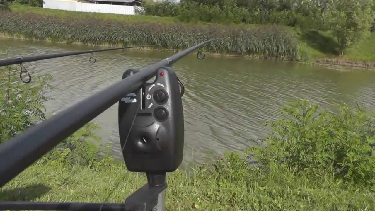 Сигнализатор электронный ENERGOTEAM CARP HUNTER STARFISH DIGITAL