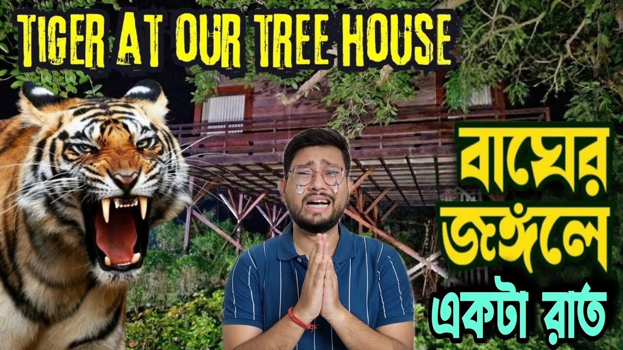 Scary Night in Betla Tree House | Tiger Roar Next to our Tree House | Betla Tree House Experience 