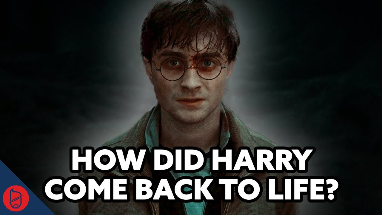 How Did Harry Come Back To Life? | Harry Potter Explained