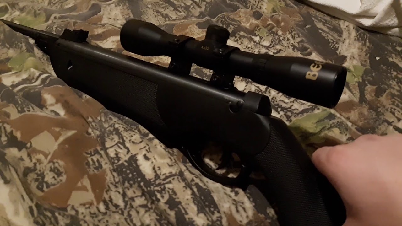 Beeman Black Cub .177/.22 Pellet Rifle Review!