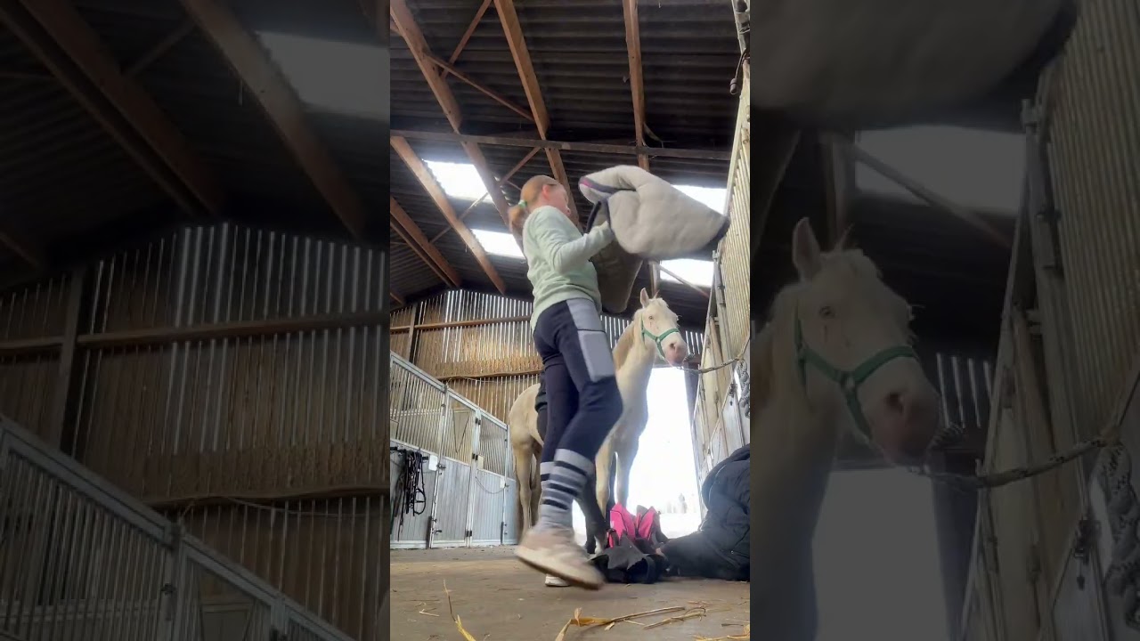 VLOG EQUITATION