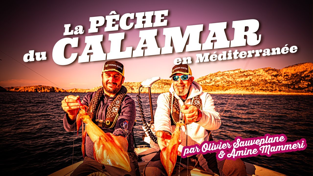 P&ecirc;che du calamar en M&eacute;diterran&eacute;e