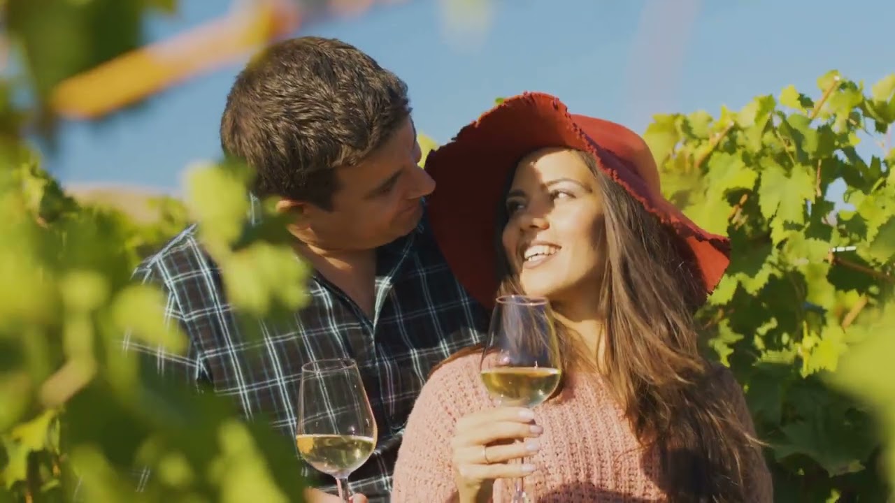 Los Olivos in 180 Seconds  Sip, Stroll, Relax.