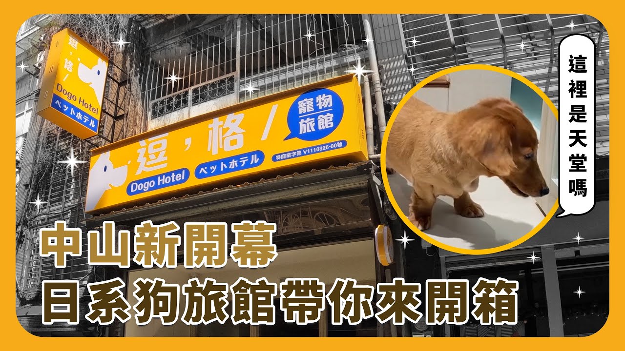 【寵物旅館開箱】專屬於狗狗的旅館? 中山新開幕日系狗旅館帶你來開箱!!｜逗格寵物旅館