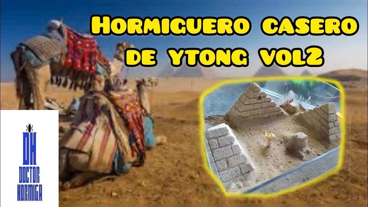 HORMIGUERO CASERO DE YTONG VOL.2 / La joya de EGIPTO