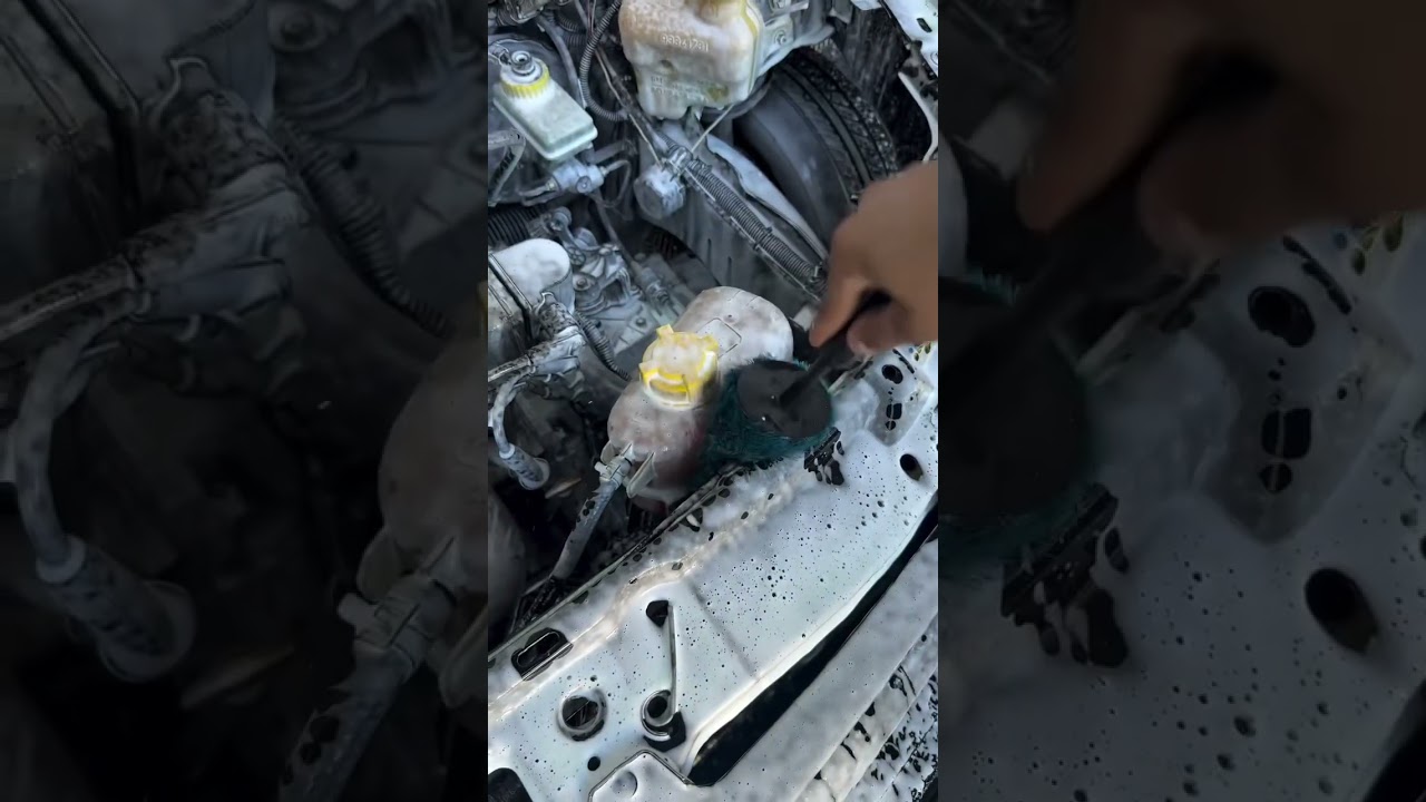 Lavando o motor do celta