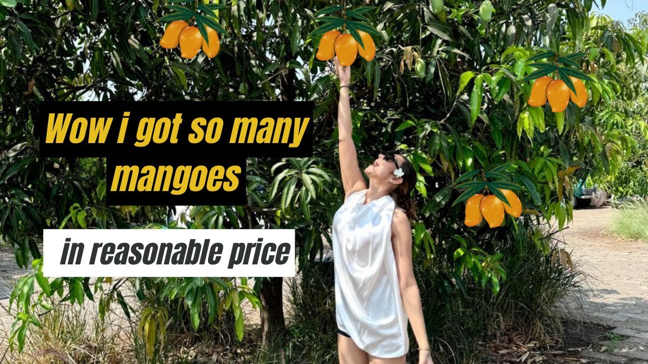 Stayed in a Luxury Resort in gir forest | woods at sasan resort Gujrat | vlog….