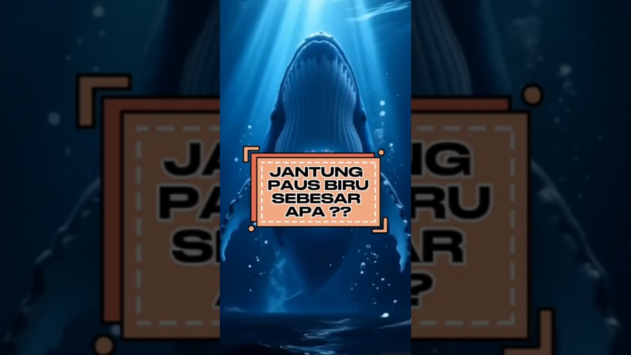 Makhluk Terbesar di Bumi Punya Jantung Raksasa 