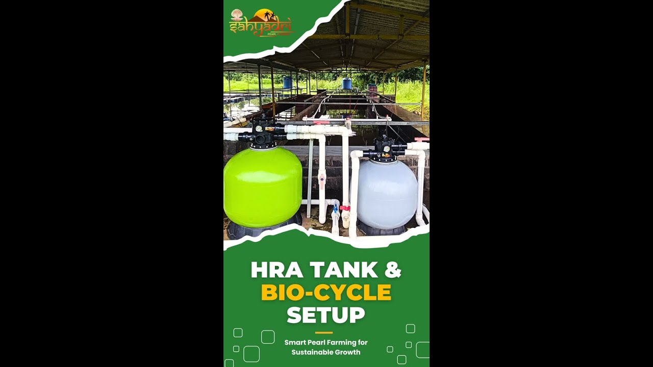 Pearl Farming Made Simple: HRA Setup Tank & Bio-Cycle System Explained! Sahyadri Pearl Farming