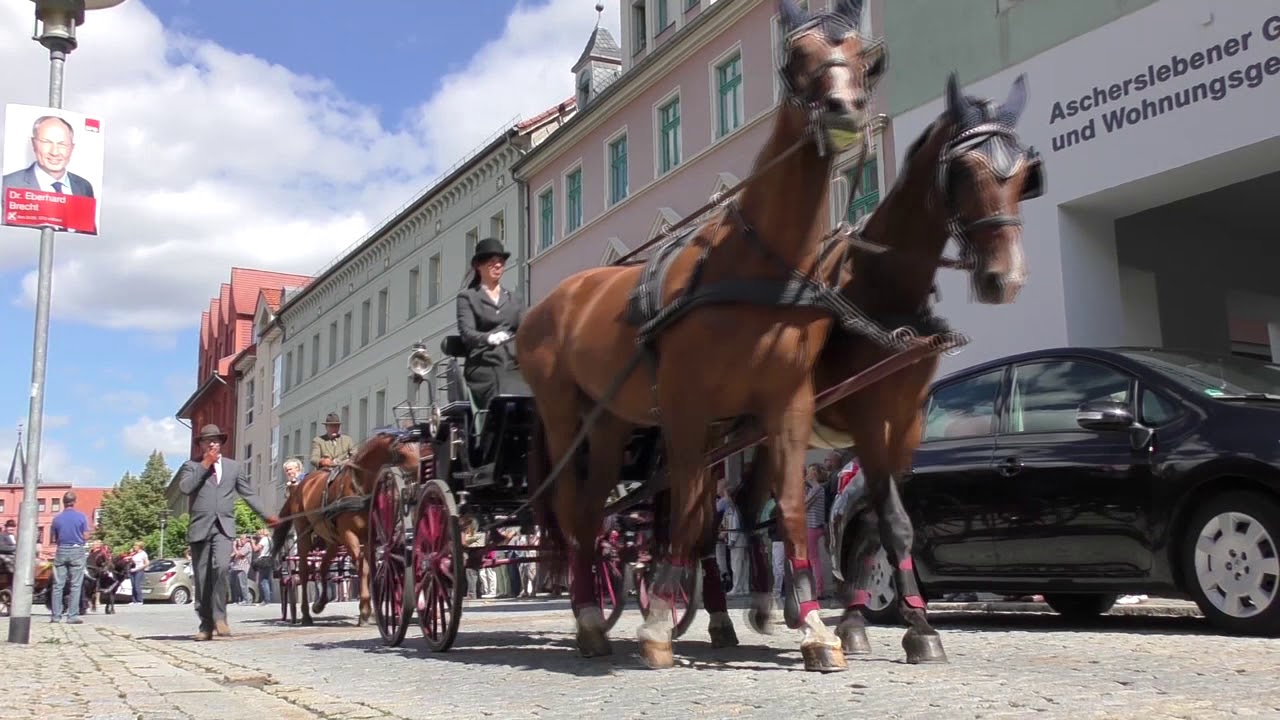 Ascania Pferdefestival 2017 Kutschenkorso