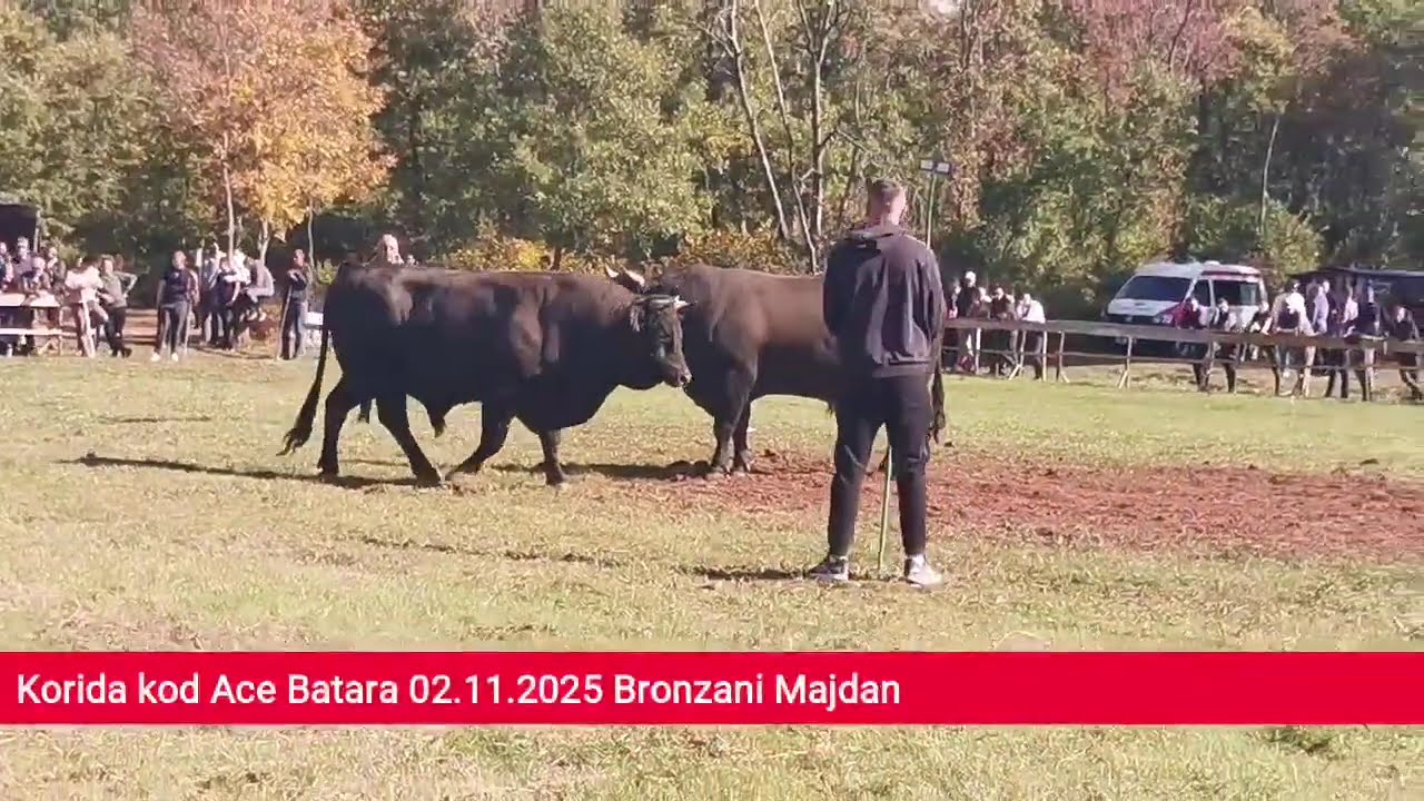 Uživo prvi krug Posušje Osoje