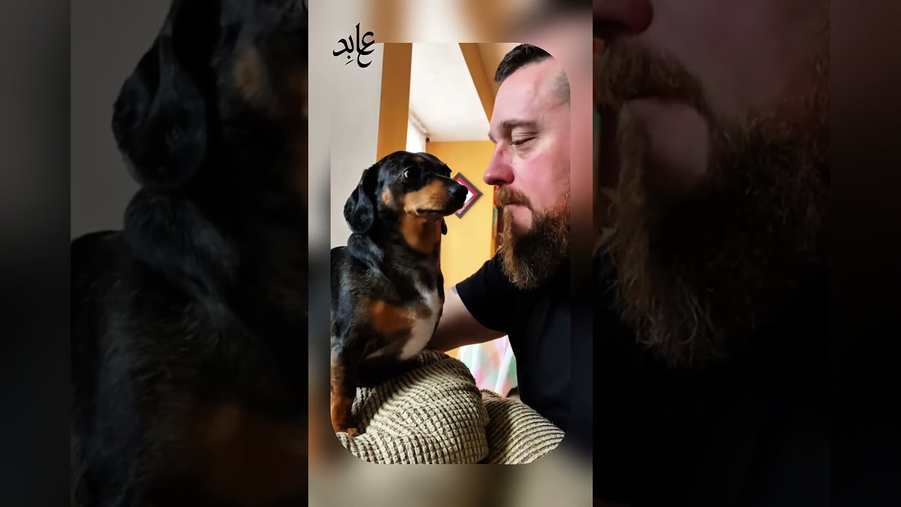 Kissing challenge 🐕🤣😘 
