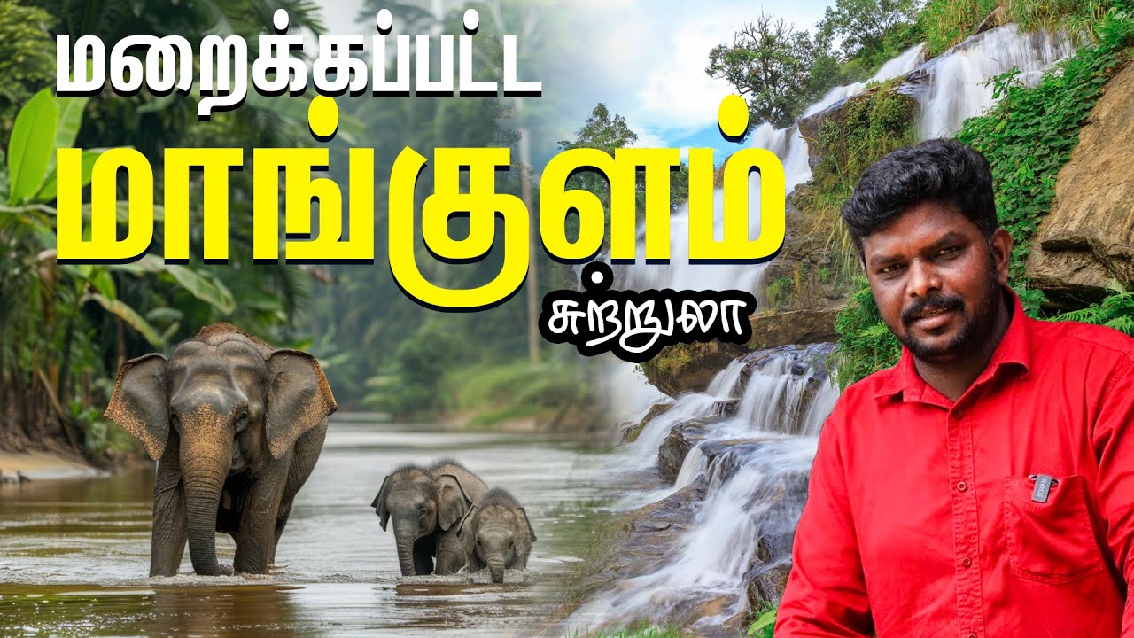 கேரளாவில் இப்படி ஒரு தரமான சுற்றுலா-வ??? I Mankulam Tourist Places I Munnar I Kerala I VDB