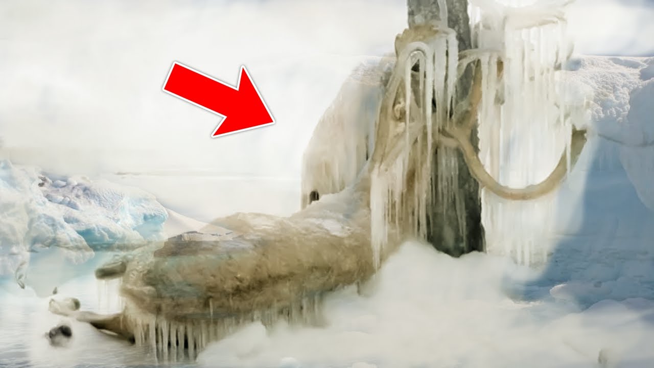 Scientists Found A TERRIFYING Discovery In Antarctica Science Can't Explain