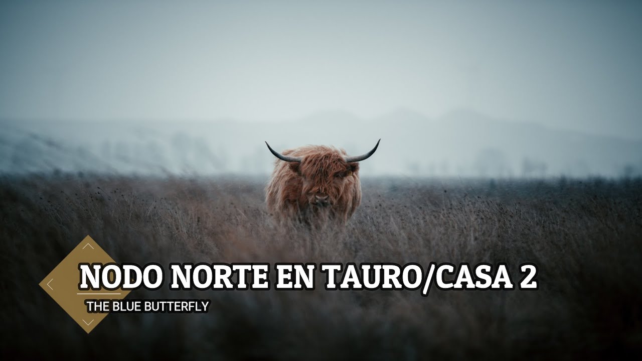 Nodo Norte en Tauro/Casa 2 en la carta natal ♉🦋