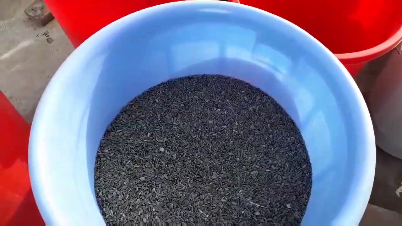 SUMMER SEED MIX FOR BUDGIES, LOVEBIRDS AND COCKATIELS (URDU/HINDI)