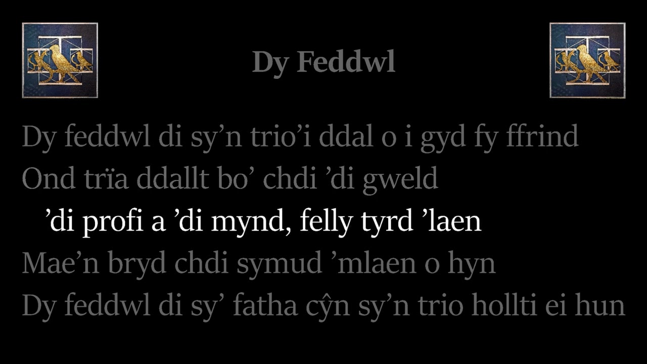 Dy Feddwl – Bwncath