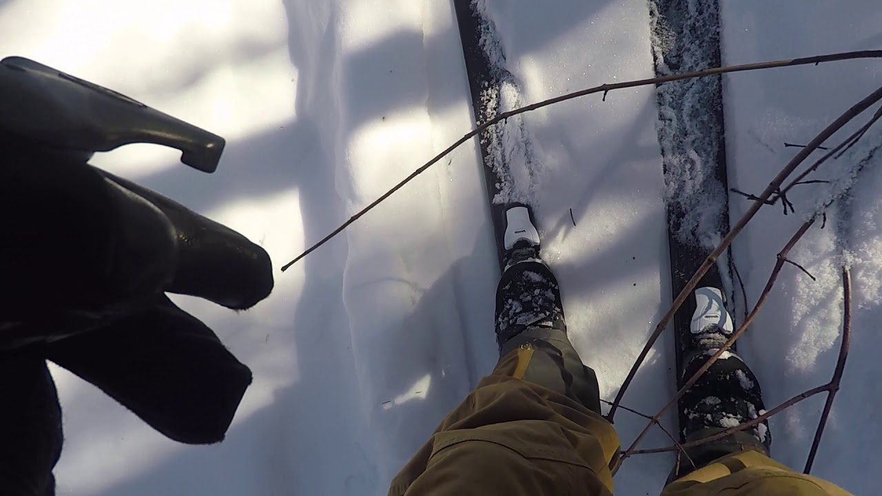 Peaceful nordic BC . Rossignol BC100's