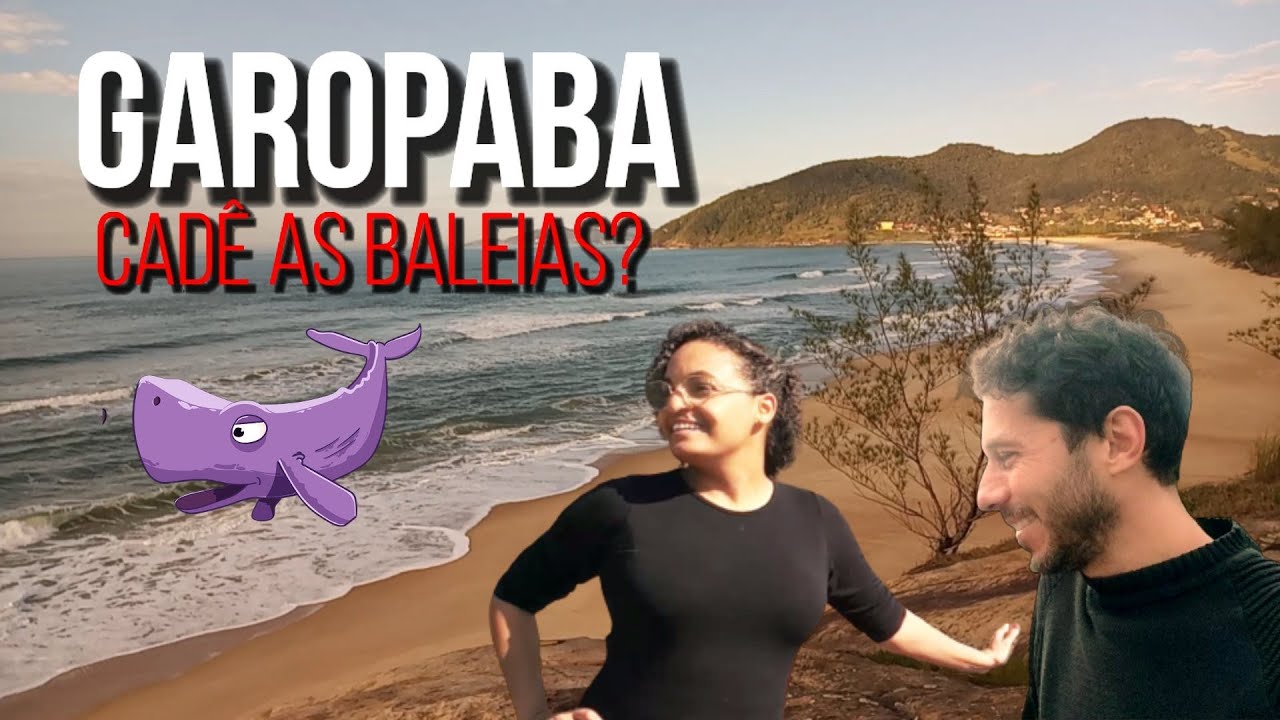 Baleias no inverno de GAROPABA SC | Santa Catarina | Praia da Gamboa e Praia do Siri&uacute;