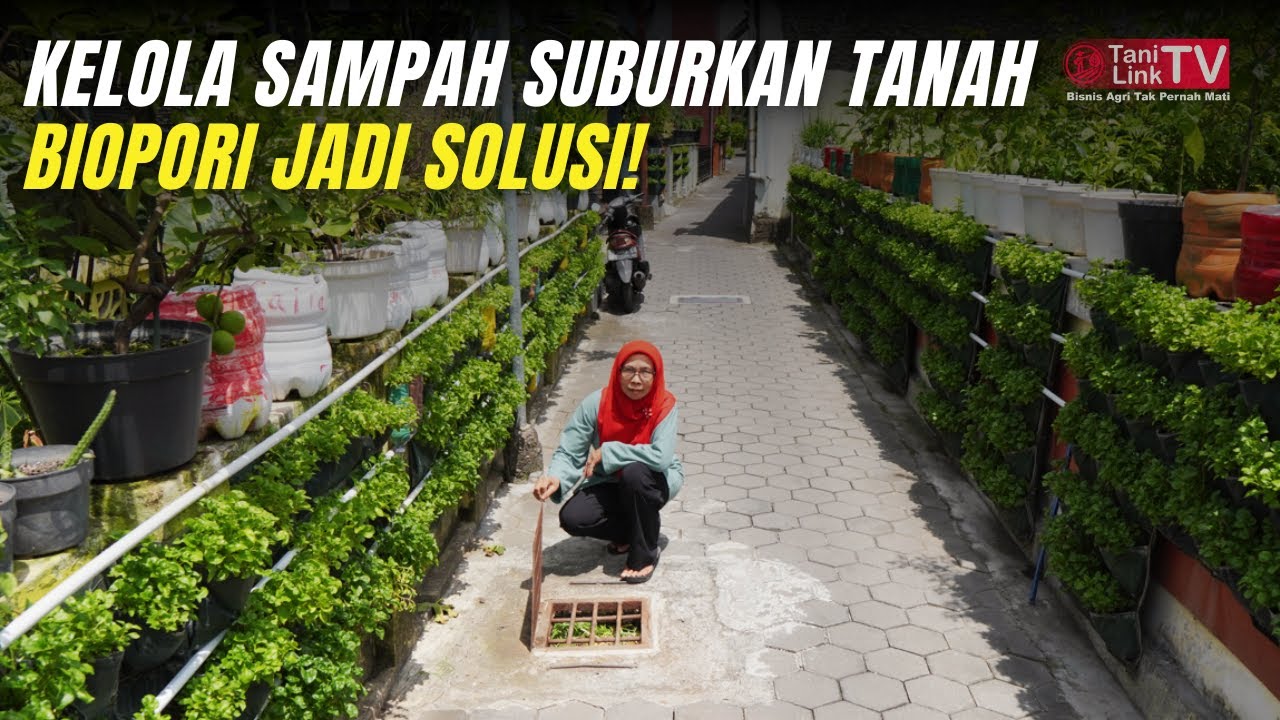 Inovasi Kota Hijau! Biopori, Cara Cerdas Atasi Sampah Tanpa Polusi