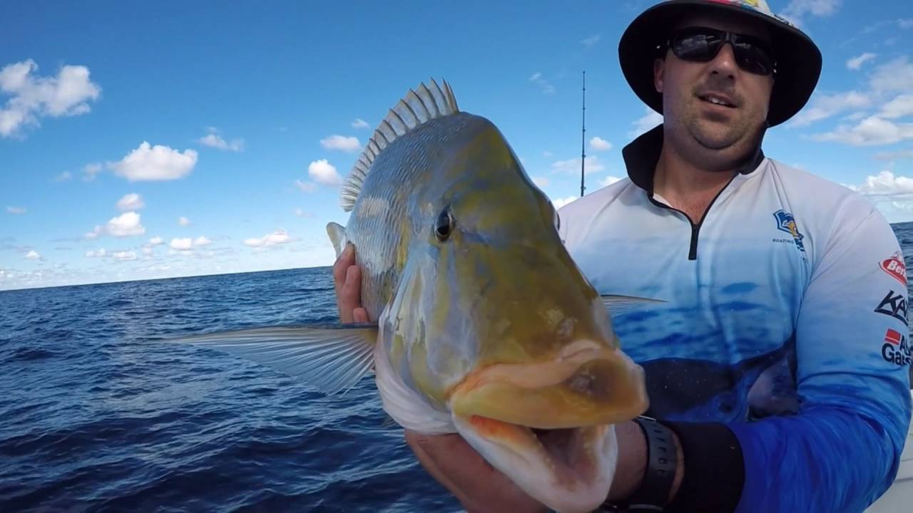 Offshore Fishing Fraser 2016