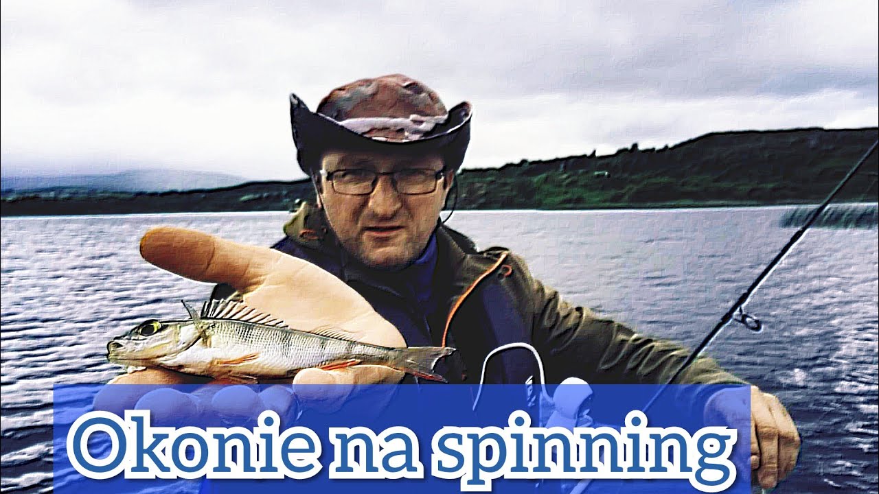 Szukanie okoni w lipcu / Gdzie szukać ? Na co łowić ?