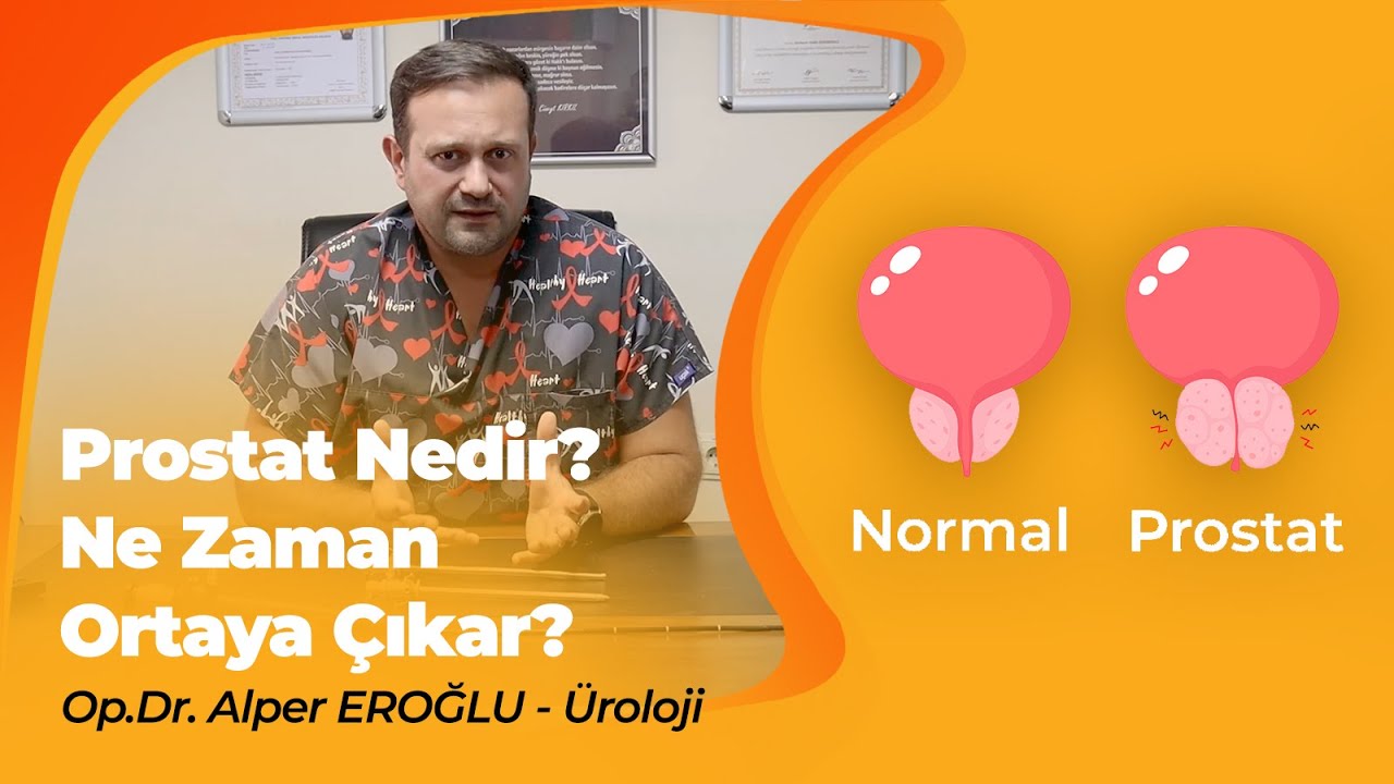 Prostat Nedir? Prostat Ne Zaman Ortaya &Ccedil;ıkar? | Op.Dr. Alper EROĞLU